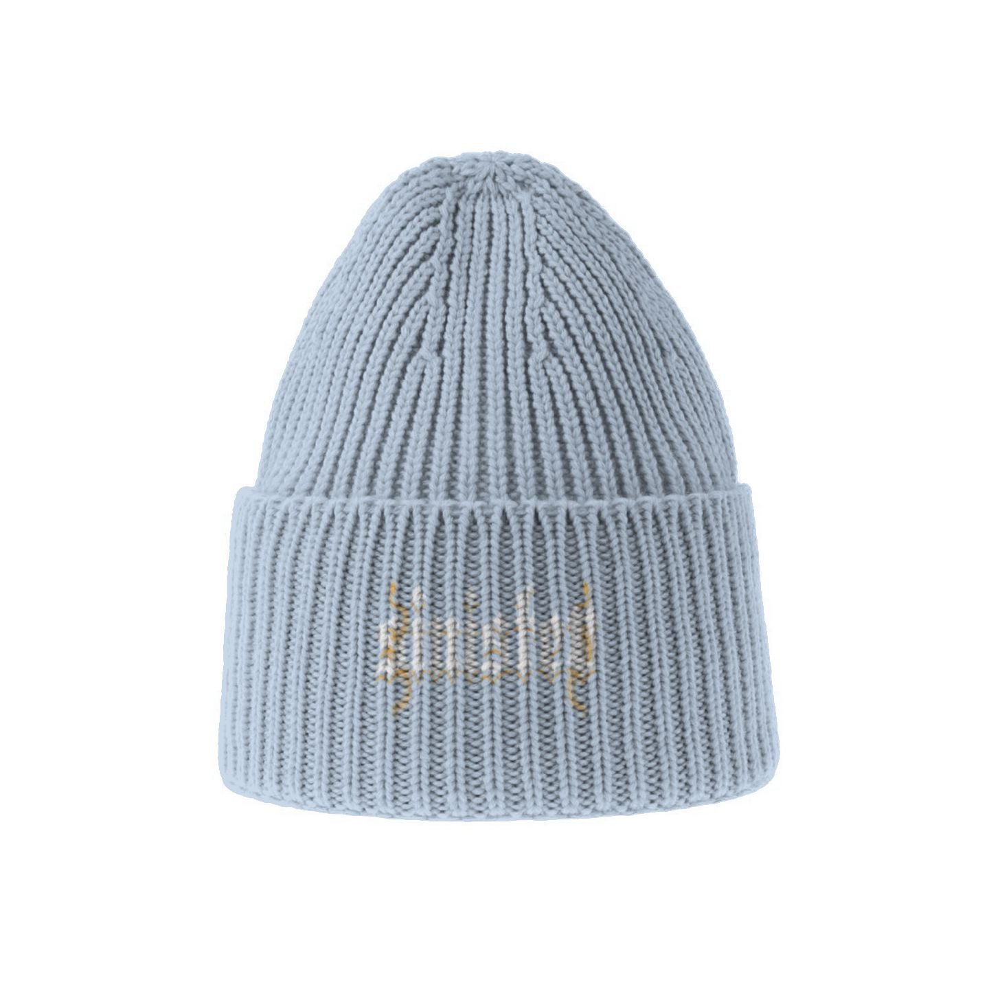 Sinister Sustainable Chunky Rib Knit Beanie Colors V1
